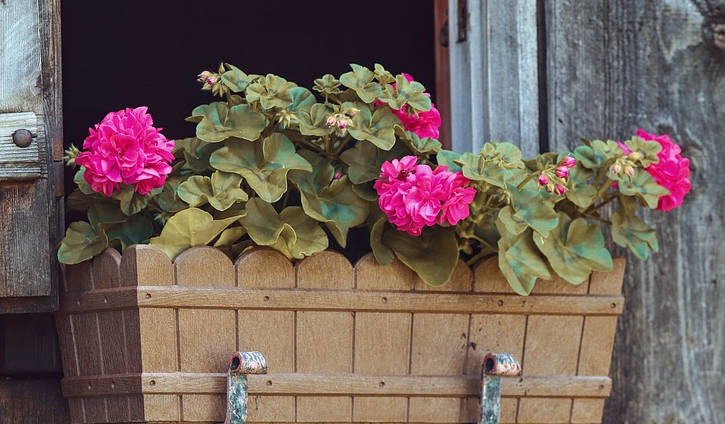 Doniczki z palet – Wyjątkowe i ekologiczne rozwiązanie dla Twojego ogrodu